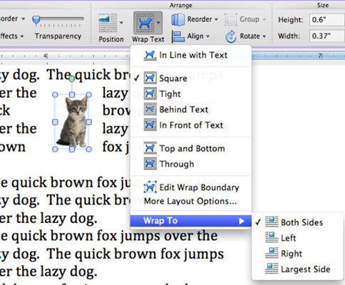 find words in word for mac
